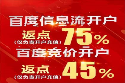 探索SEM竞价优化：成功企业的广告策略